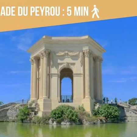 La Suite Eximia Avec Patio - Parking Souterrain Inclus - Centre Historique Монпелие Екстериор снимка